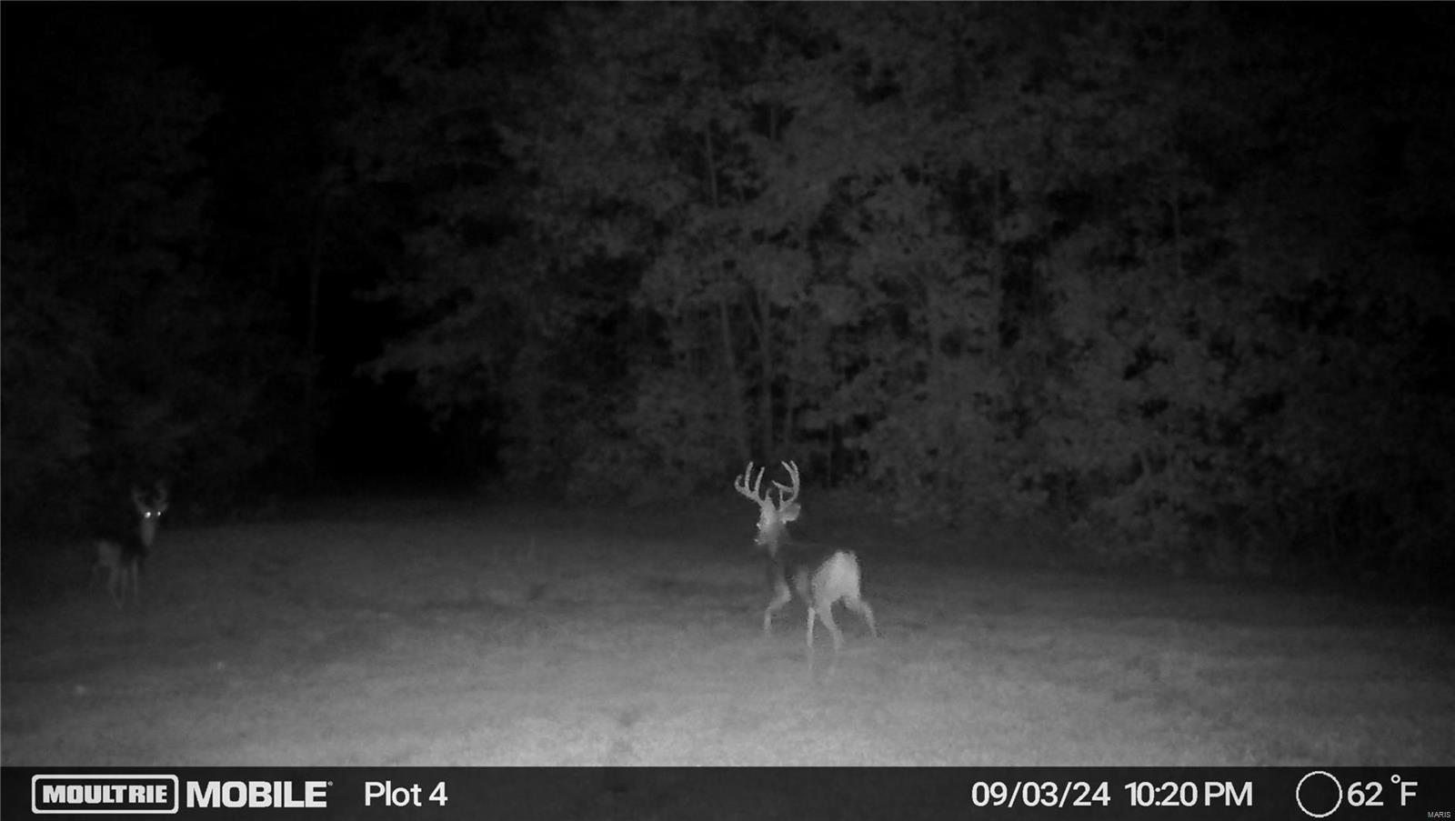 0 (320+/- Acres) Lodge Road Property Photo 30