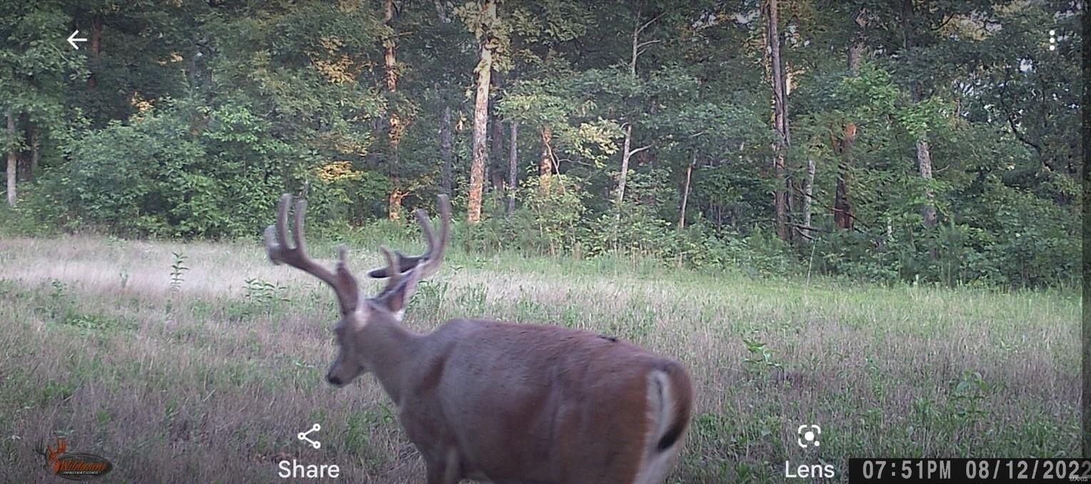 0 (320+/- Acres) Lodge Road Property Photo 34