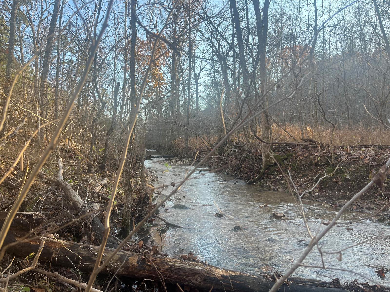 0 (320+/- Acres) Lodge Road Property Photo 37