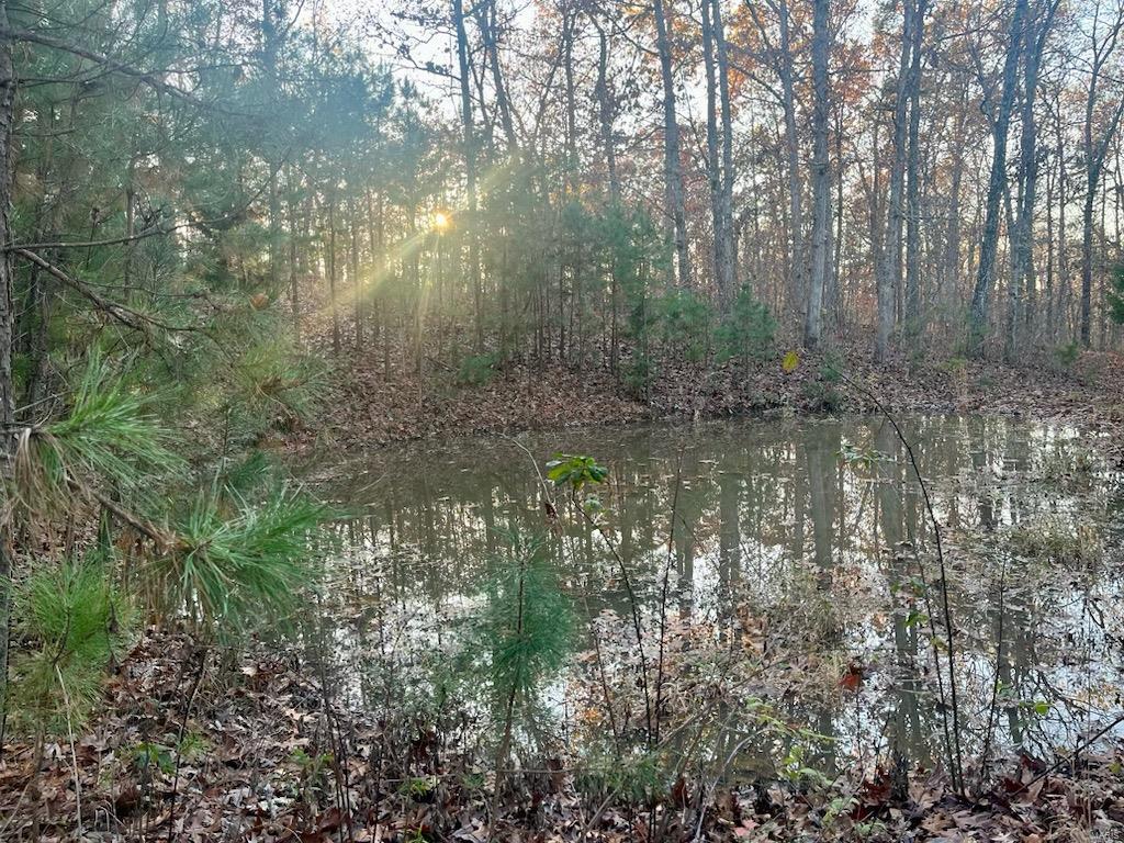 0 (320+/- Acres) Lodge Road Property Photo 39