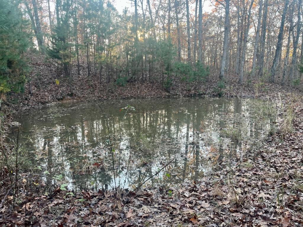 0 (320+/- Acres) Lodge Road Property Photo 40