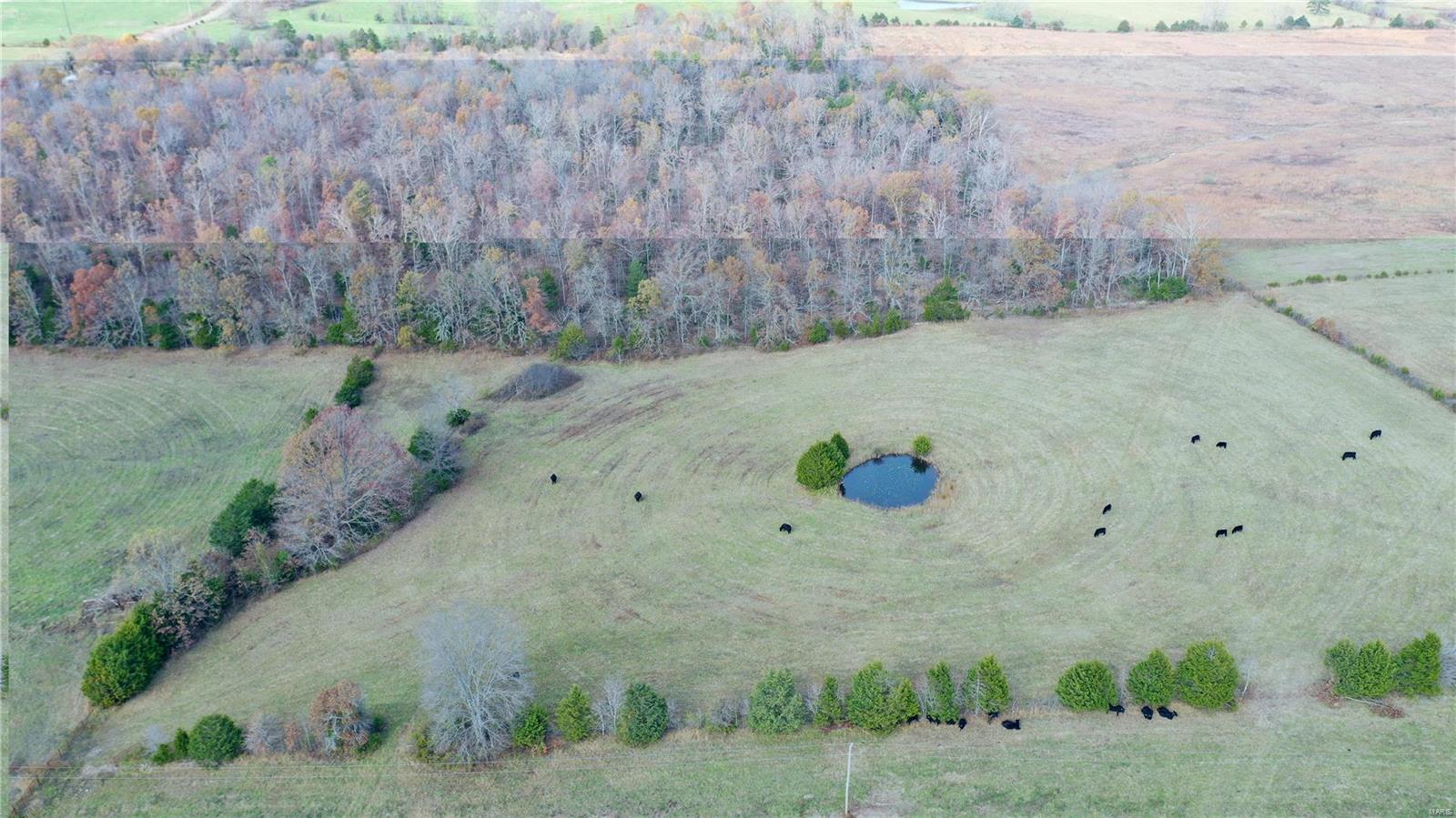 7256 Highway K Property Photo 3
