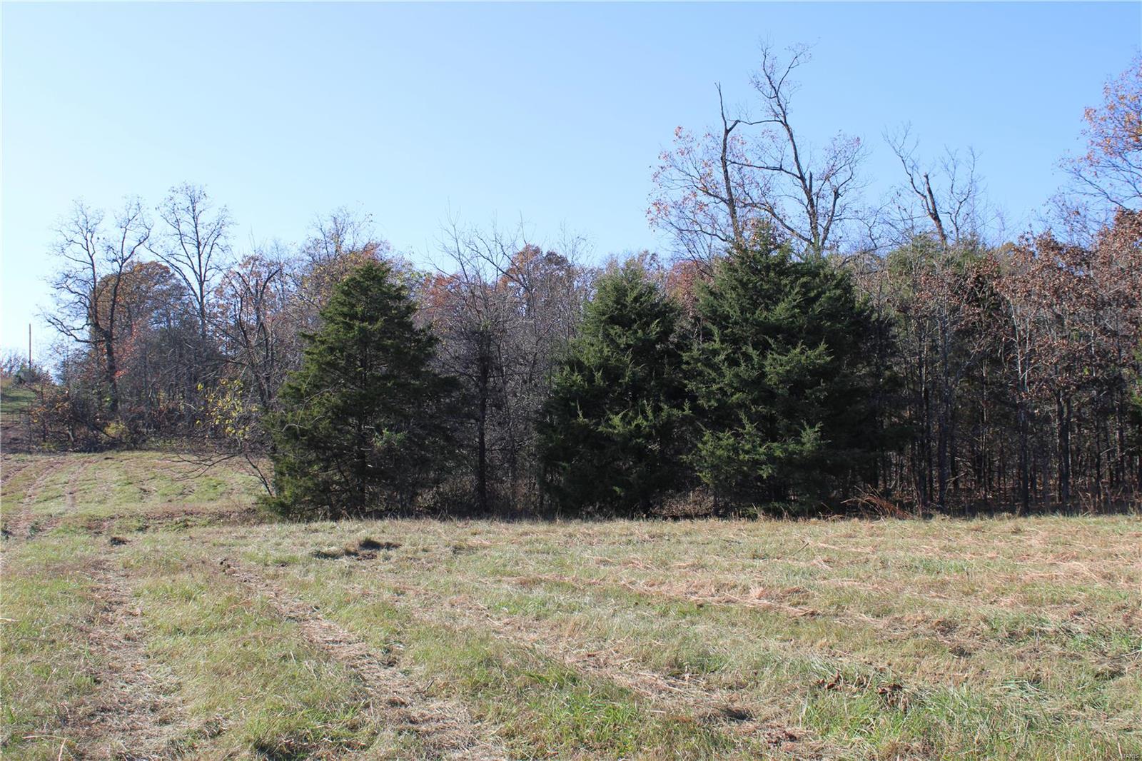 0 County Road 2780 Property Photo 8