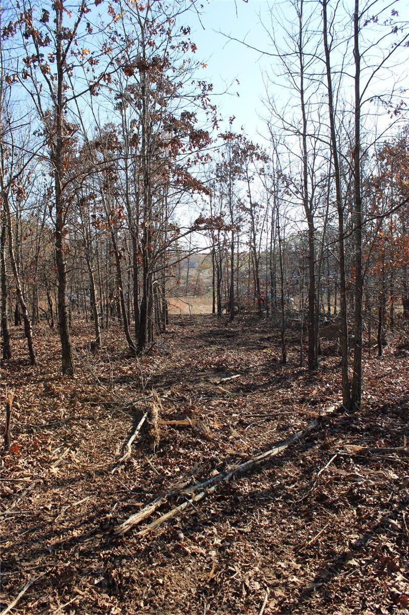0 County Road 2780 Property Photo 17