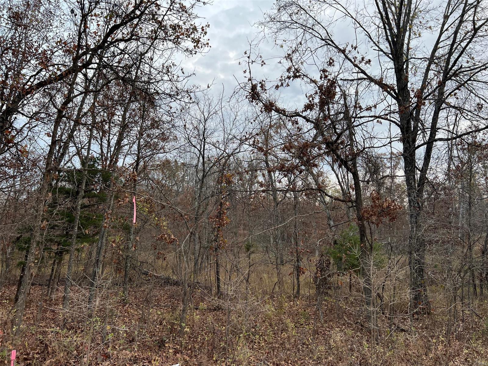 0 Partridge Property Photo 1