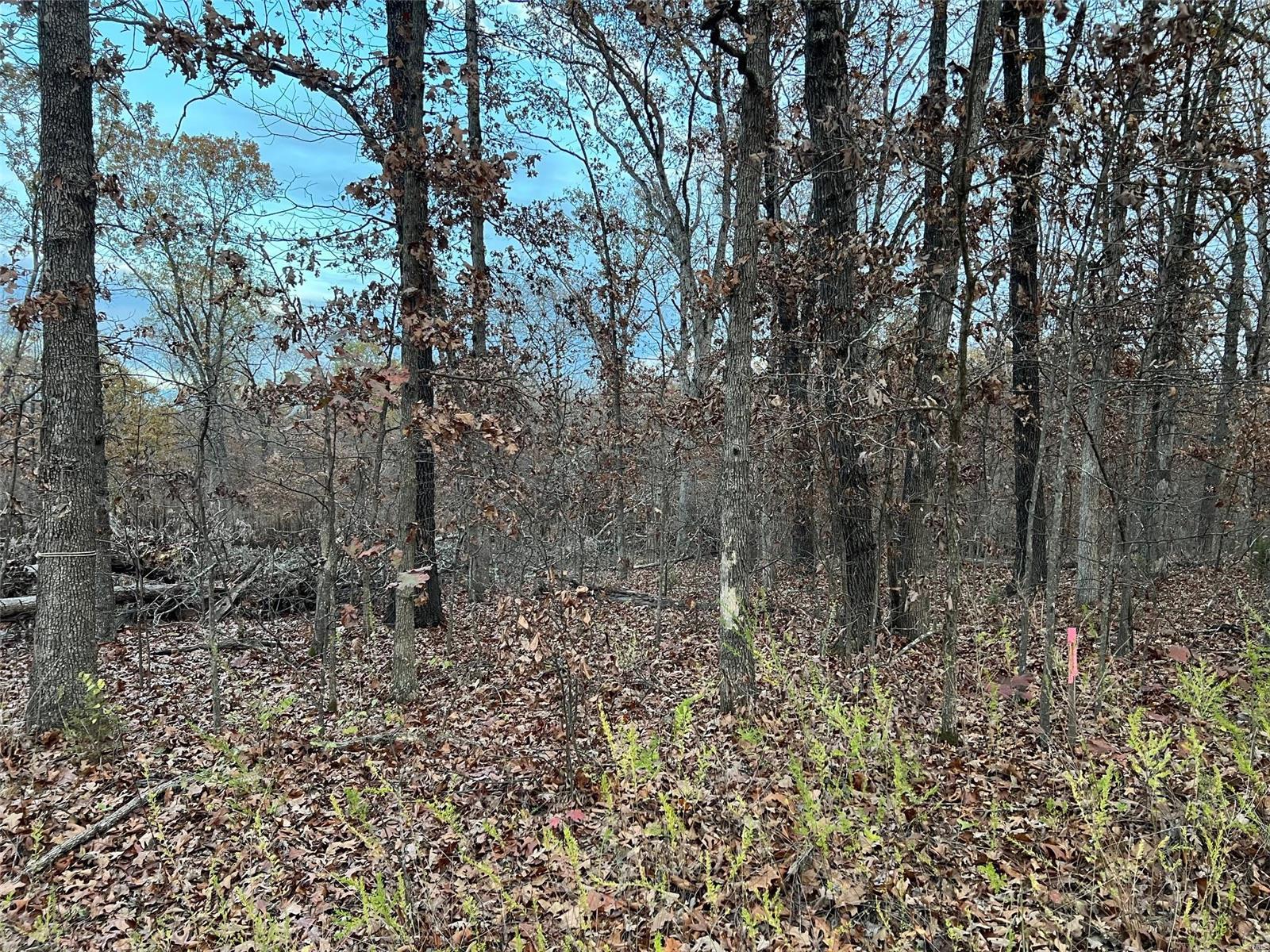 0 Partridge Property Photo 6