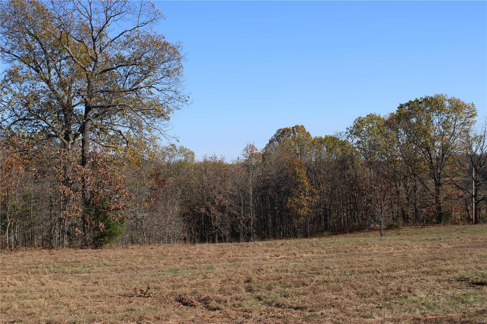 0 County Rd 2780 Property Photo 2