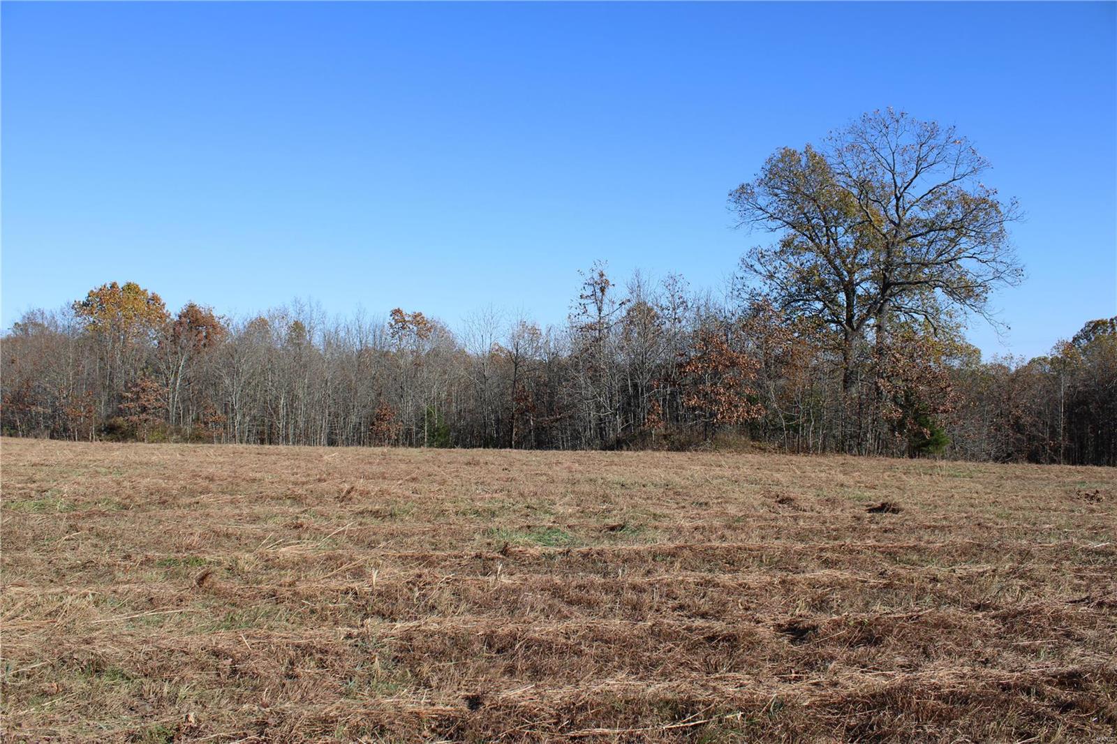 0 County Rd 2780 Property Photo 6