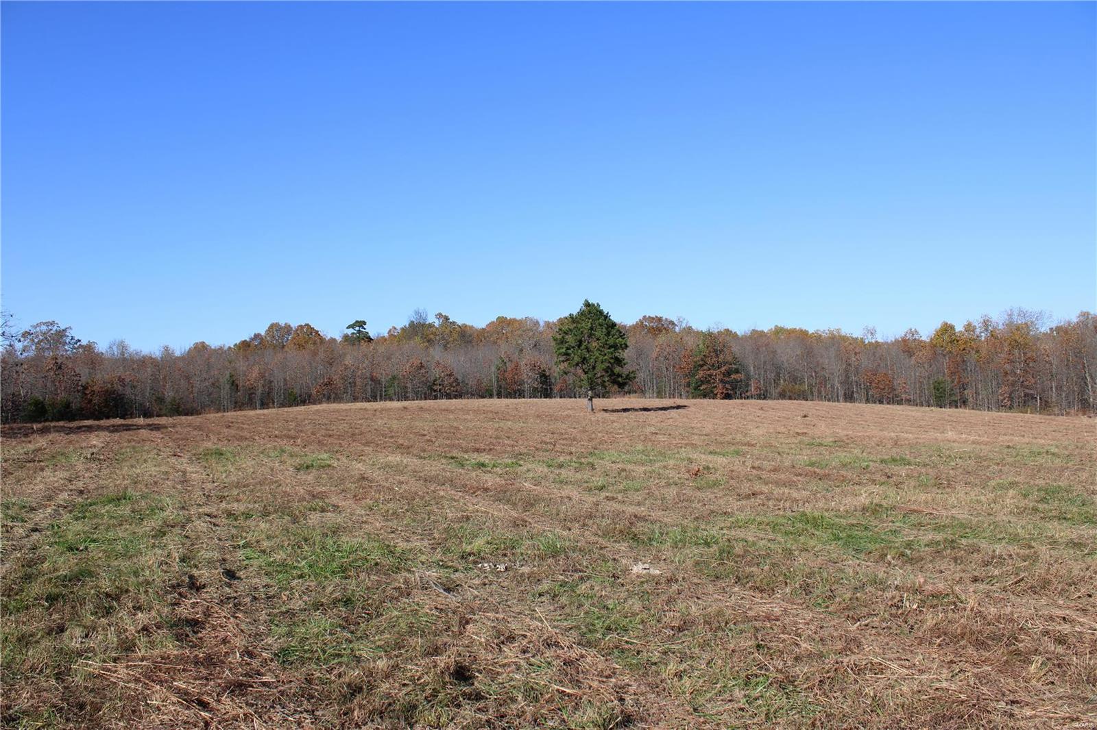 0 County Rd 2780 Property Photo 8