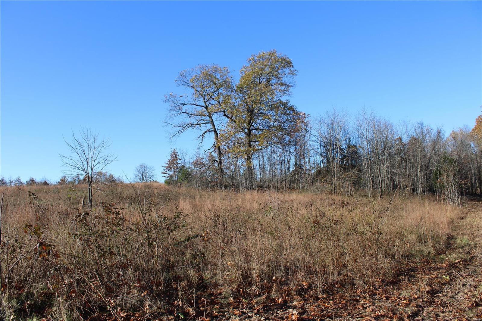 0 County Rd 2780 Property Photo 13