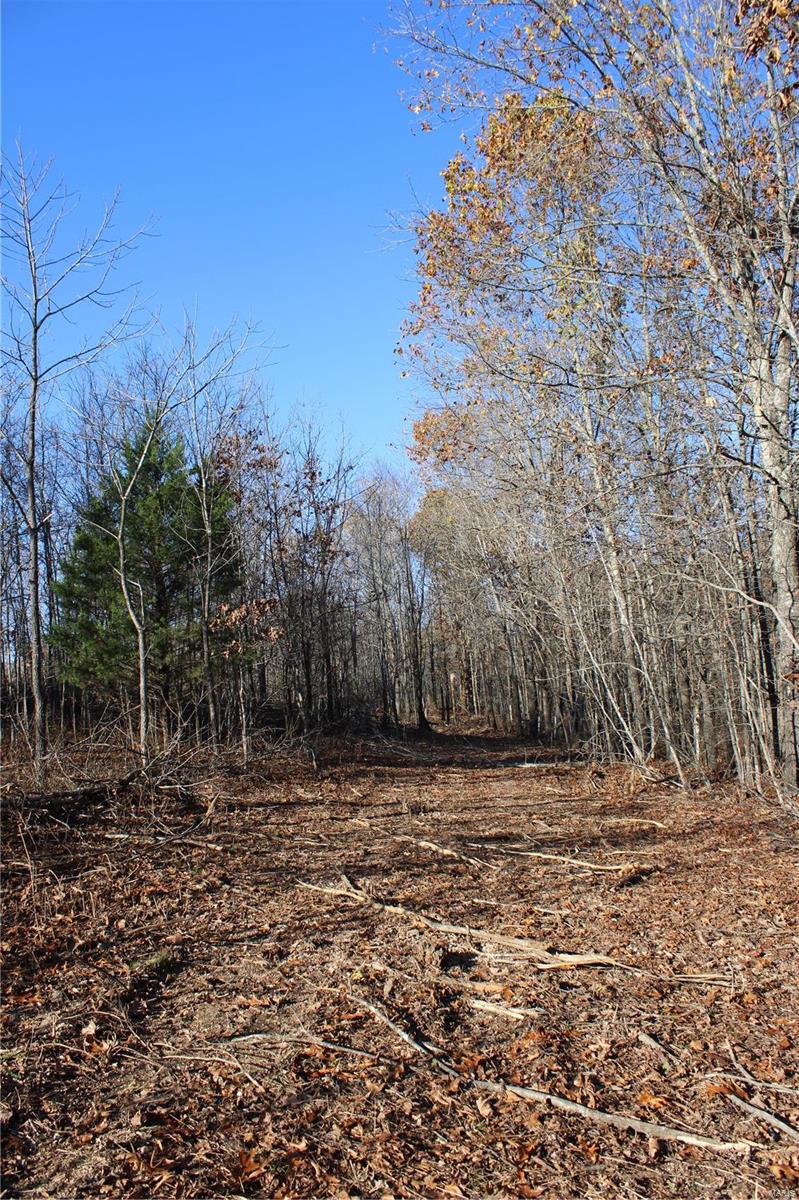 0 County Rd 2780 Property Photo 14