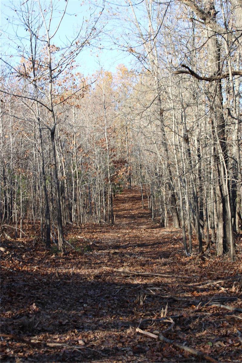 0 County Rd 2780 Property Photo 15