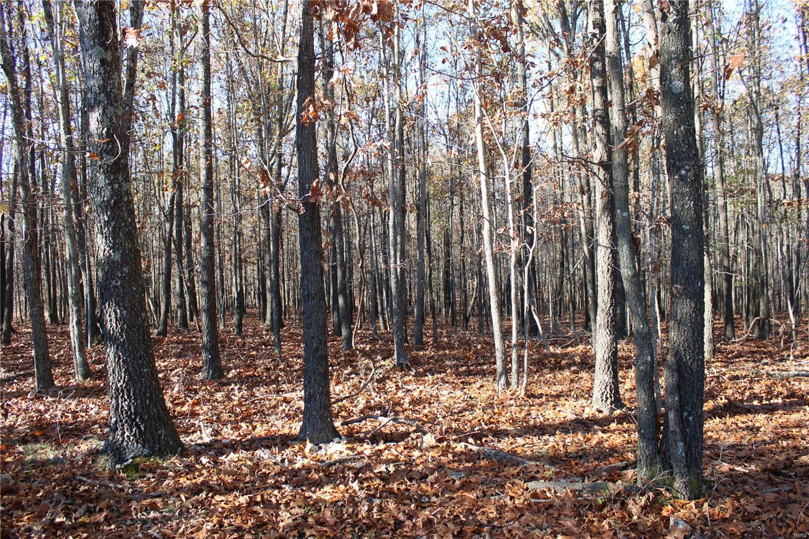 0 County Rd 2780 Property Photo 16