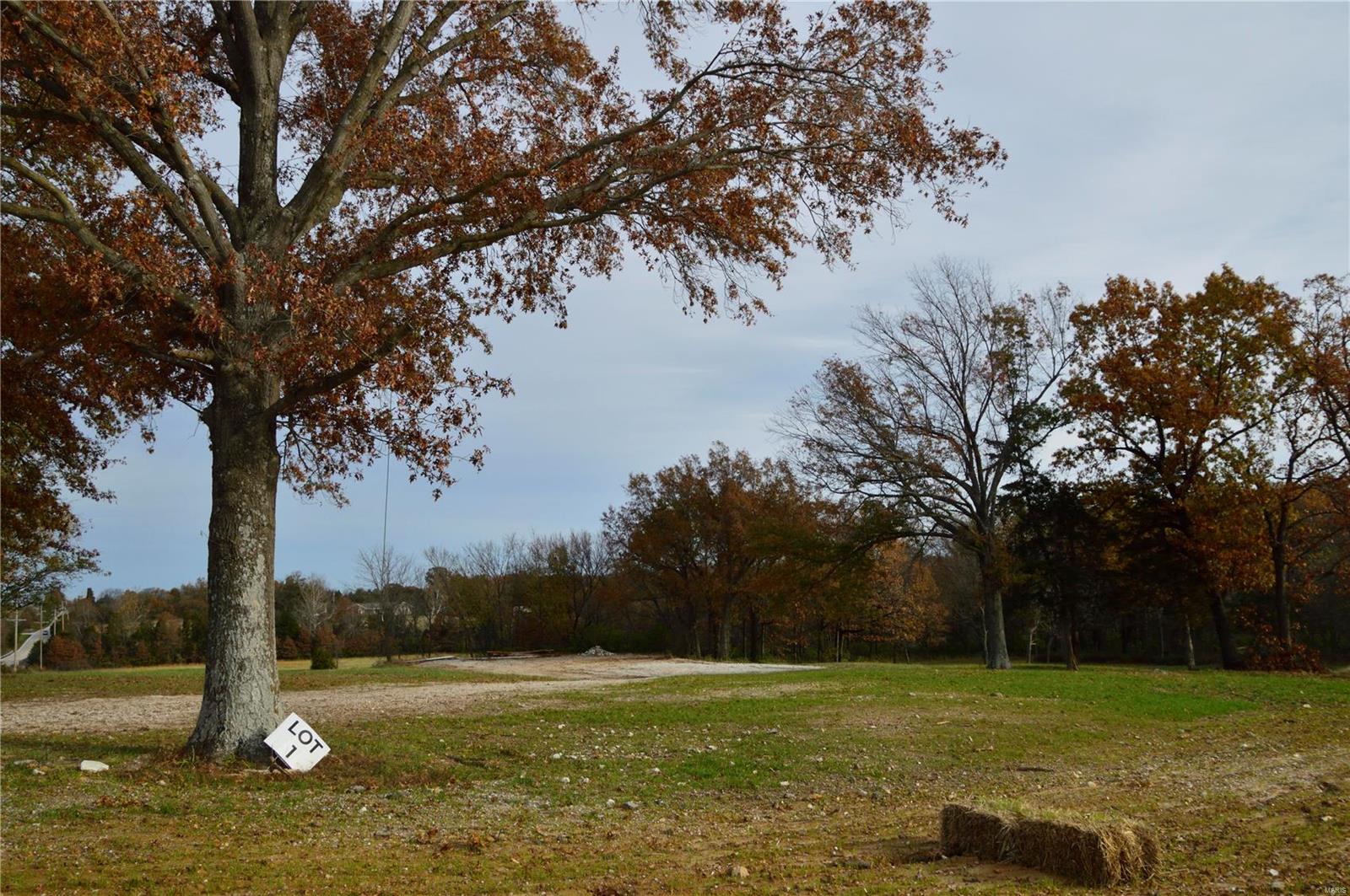 1 Serenity Lake Court Property Photo 2
