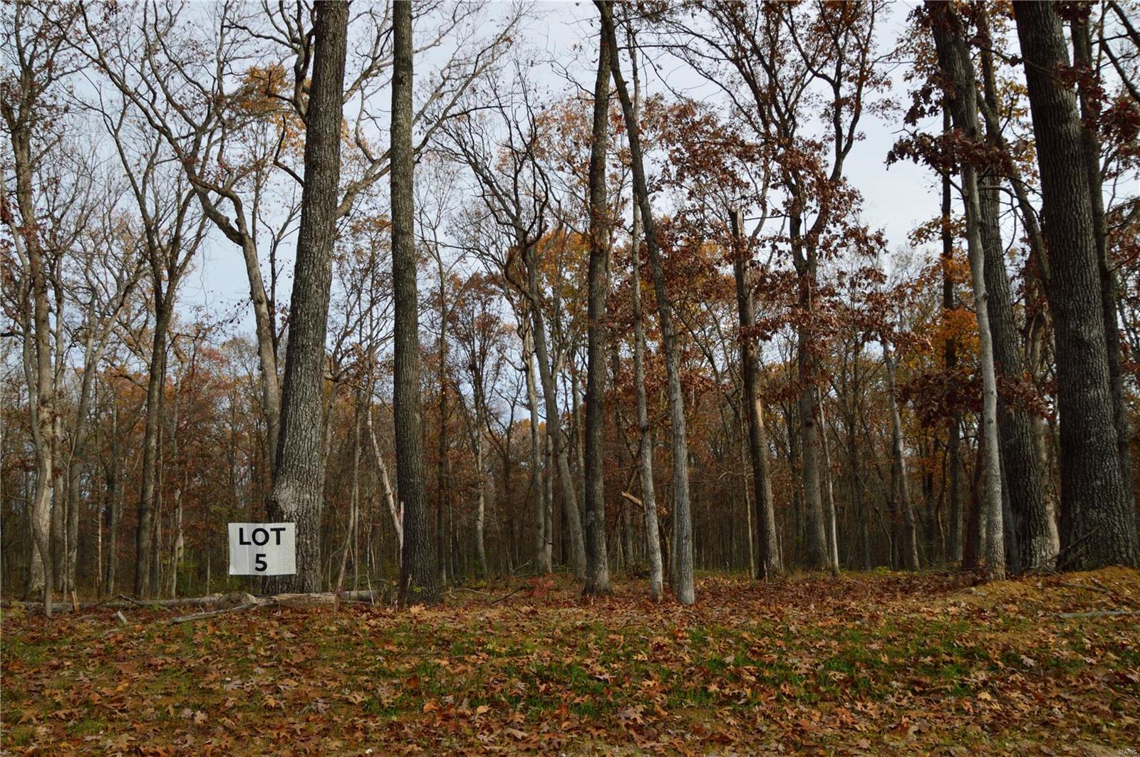 5 Serenity Lake Court Property Photo 2