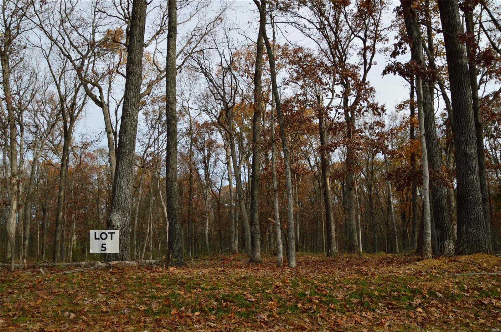 5 Serenity Lake Court Property Photo 3