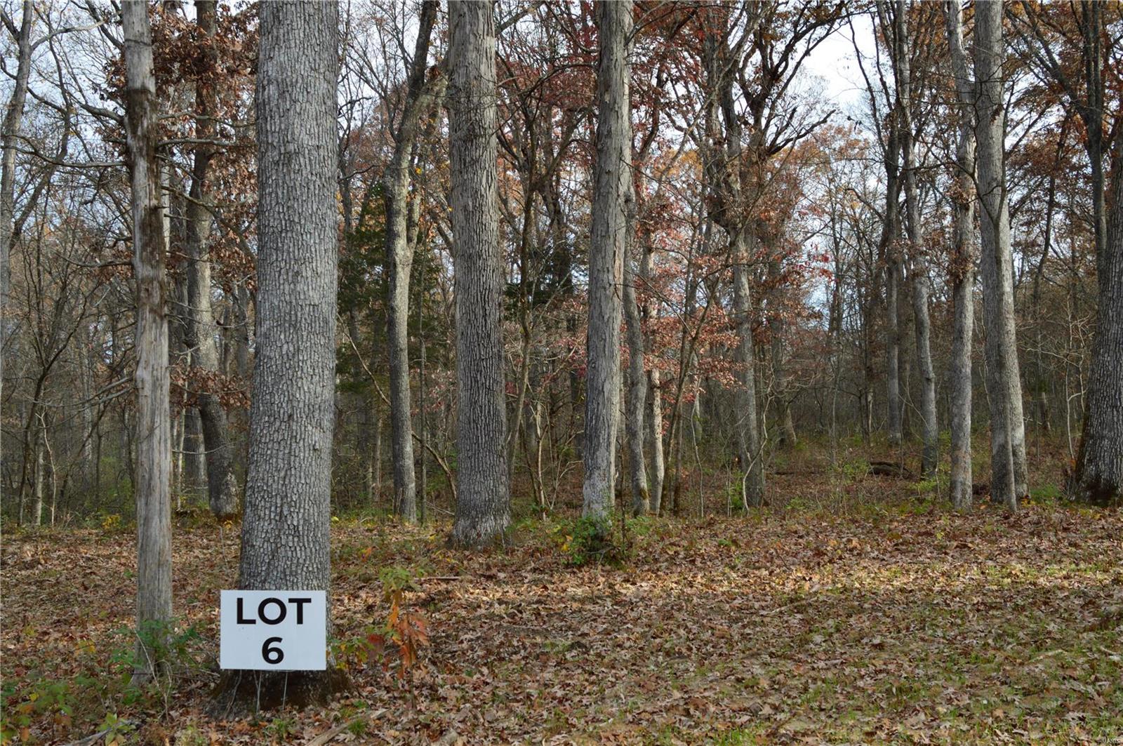 6 Serenity Lake Court Property Photo 5