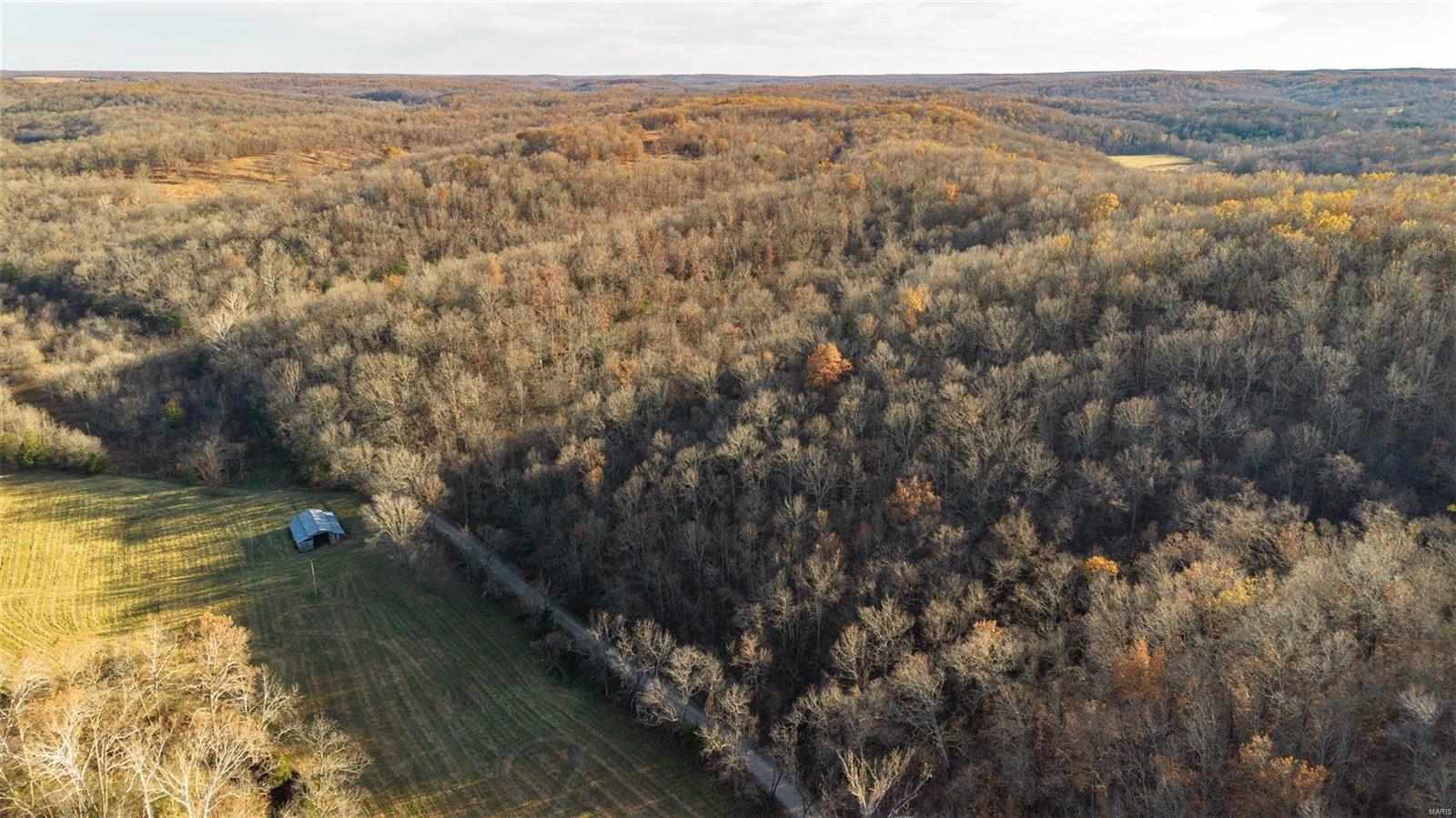 0 1.15 +/- Ac County Road 6390 Property Photo 3
