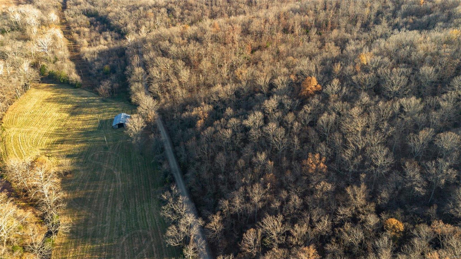 0 1.15 +/- Ac County Road 6390 Property Photo 4