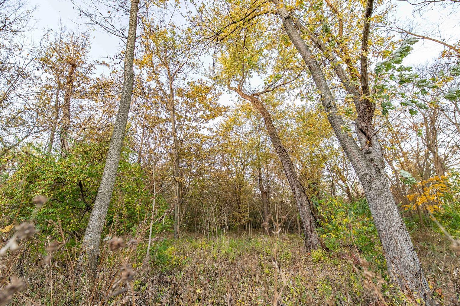 4432 Mo-79 Property Photo 53
