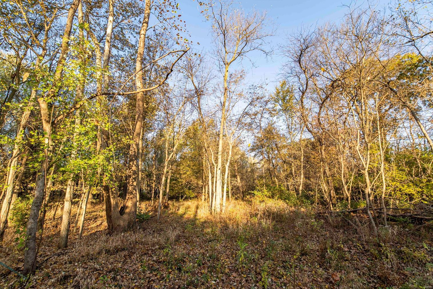 4432 Mo-79 Property Photo 69