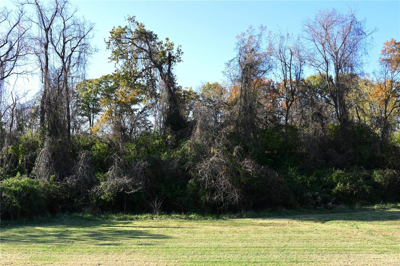 63 S Woods Mill Road Property Photo 2