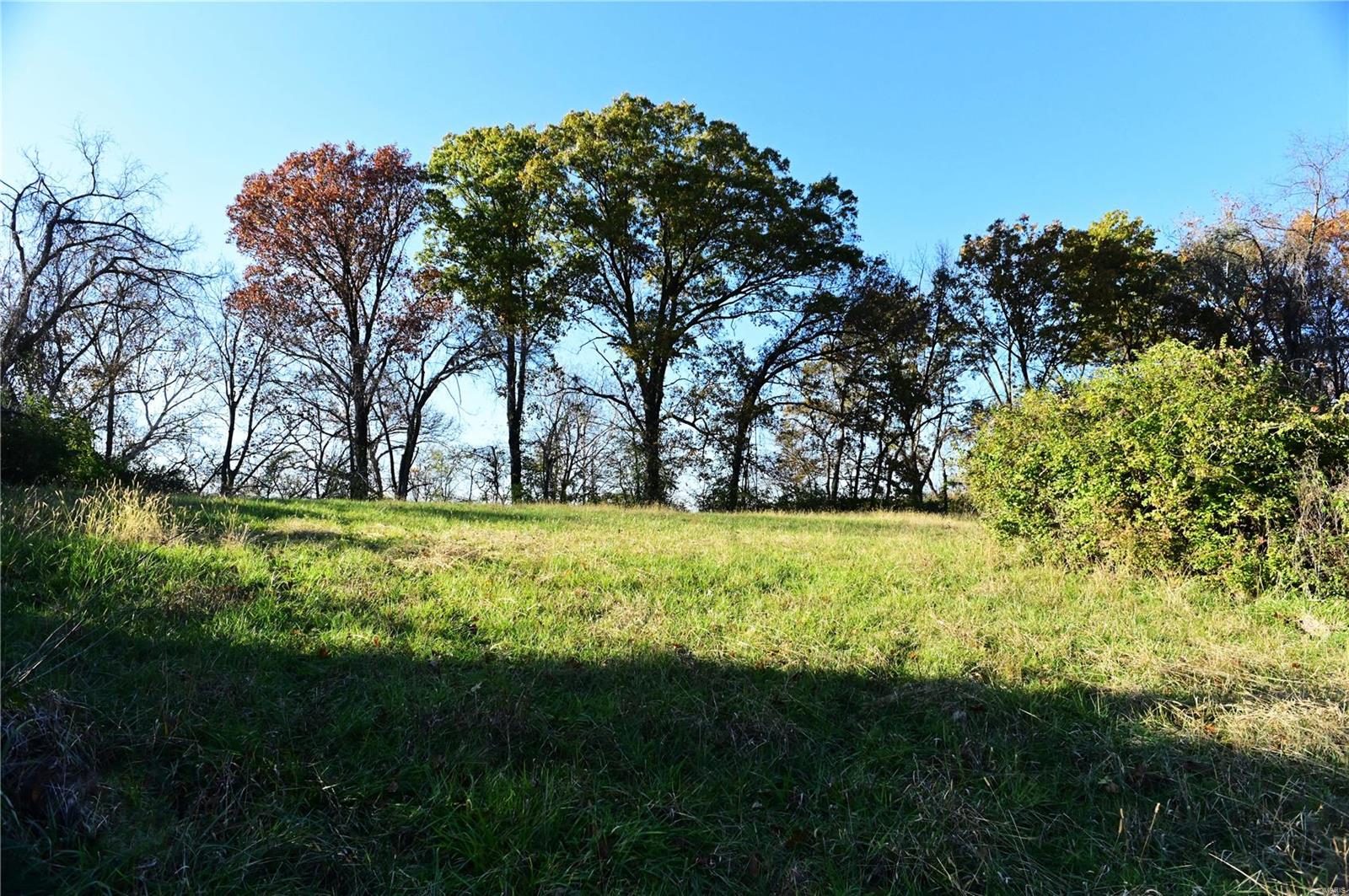 63 S Woods Mill Road Property Photo 4