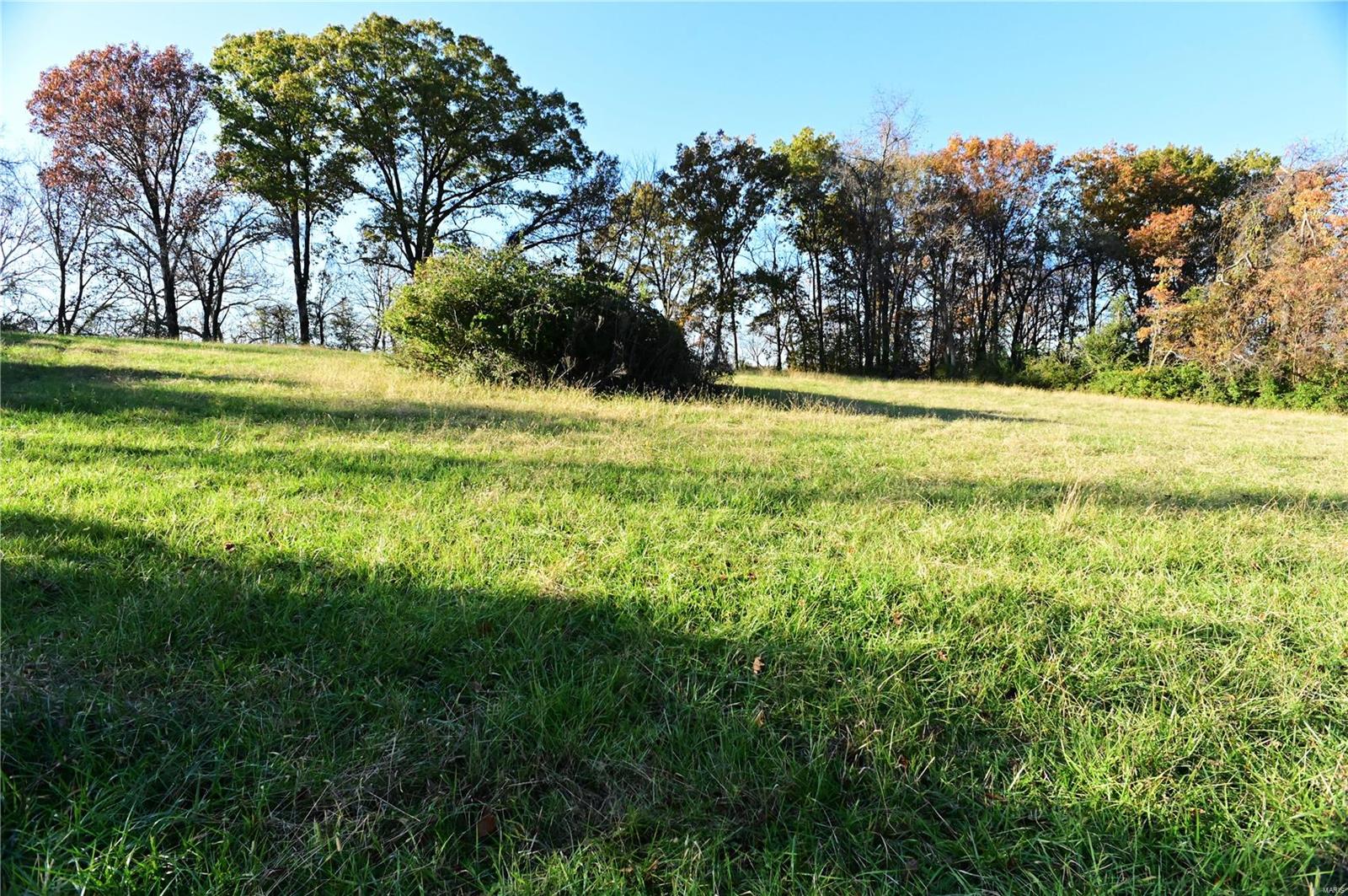 63 S Woods Mill Road Property Photo 8