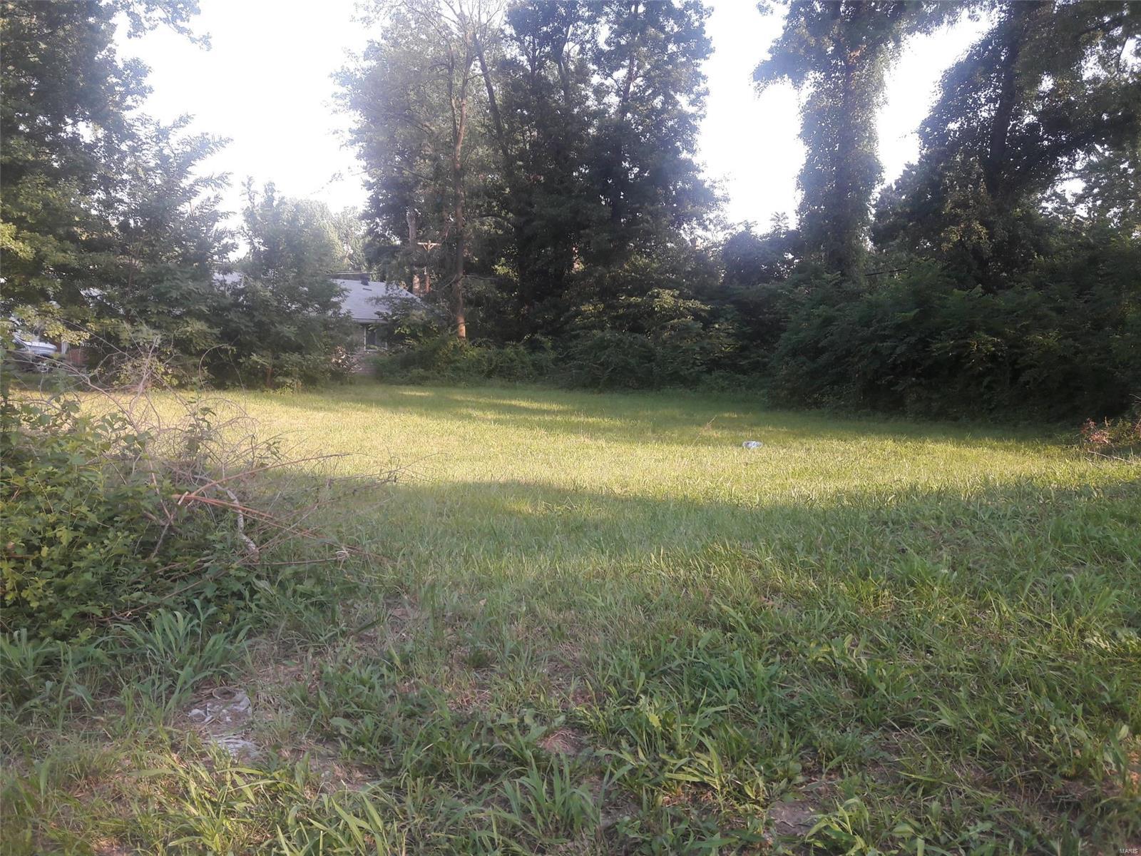 1018 Trampe Avenue Property Photo 3