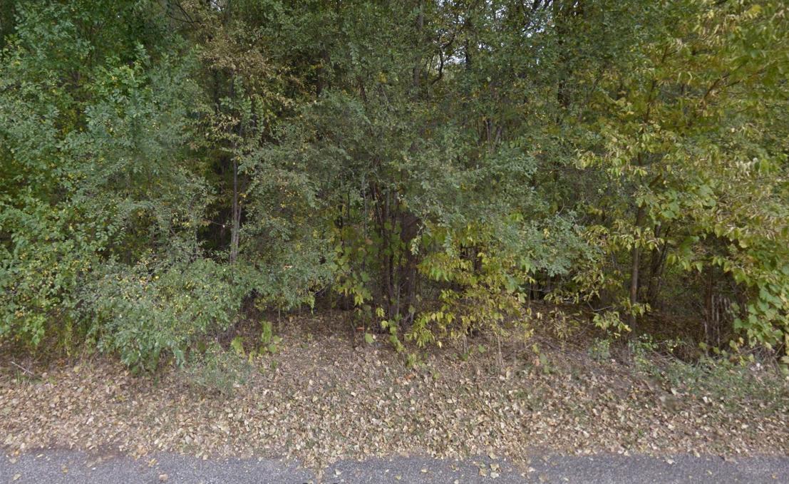 0 Tellin Ct Property Photo 1