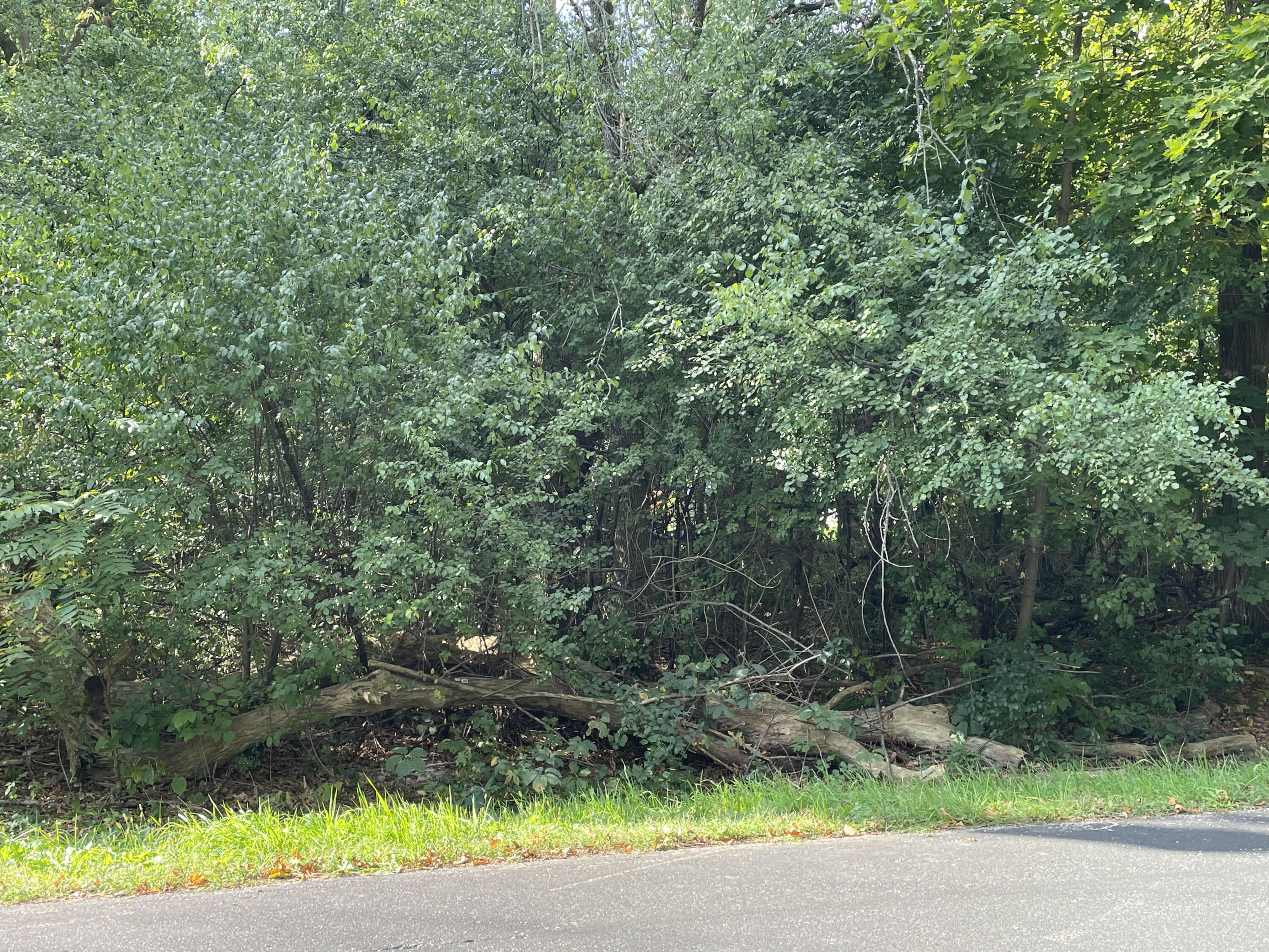 Lt7 Kearney Rd Property Photo 1