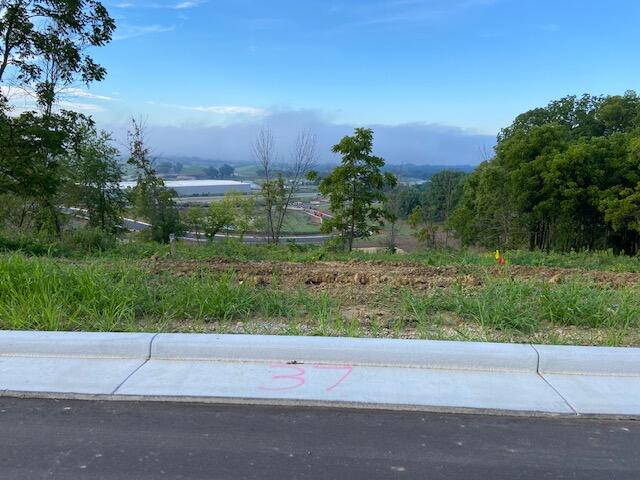 Lot 37 Madison Heights Dr Property Photo 1