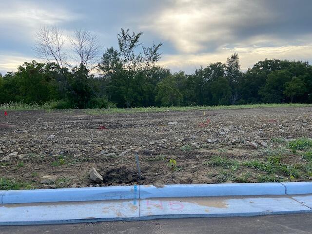 Lot 45 Madison Heights Dr Property Photo 1