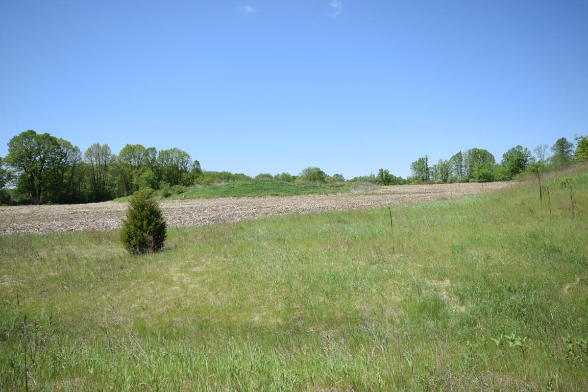 Lt2 Spring Ct Property Photo 1