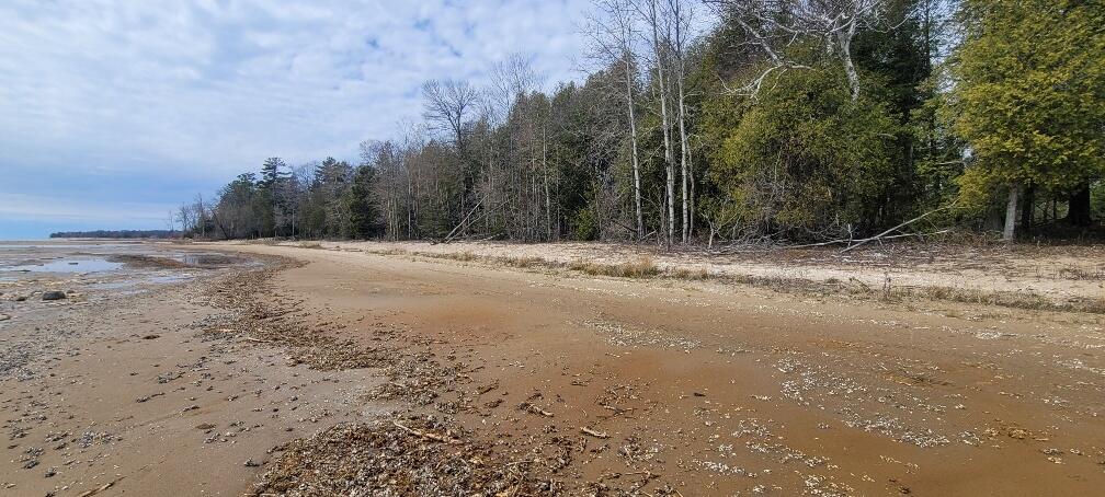 Tbd State Highway M35 - Property Photo 1