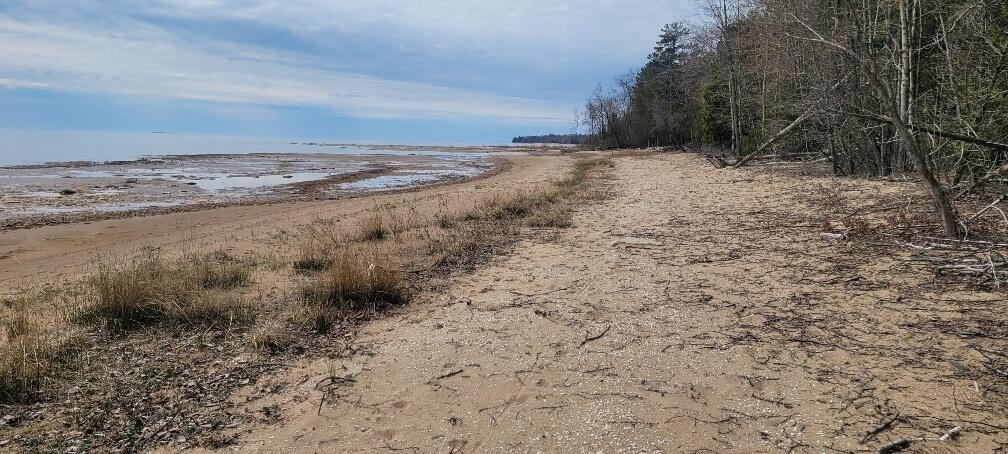 Tbd State Highway M35 - Property Photo 2