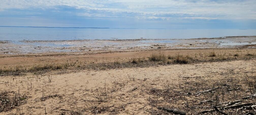 Tbd State Highway M35 - Property Photo 3