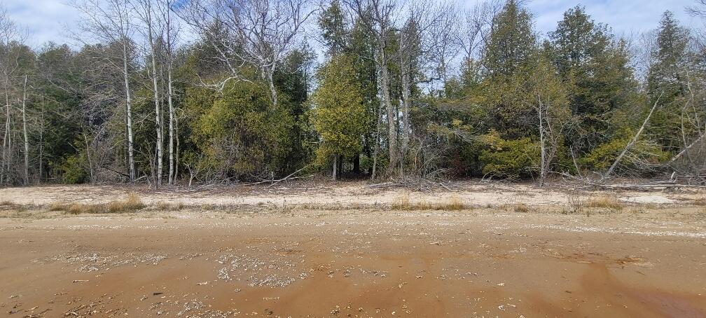 Tbd State Highway M35 - Property Photo 5