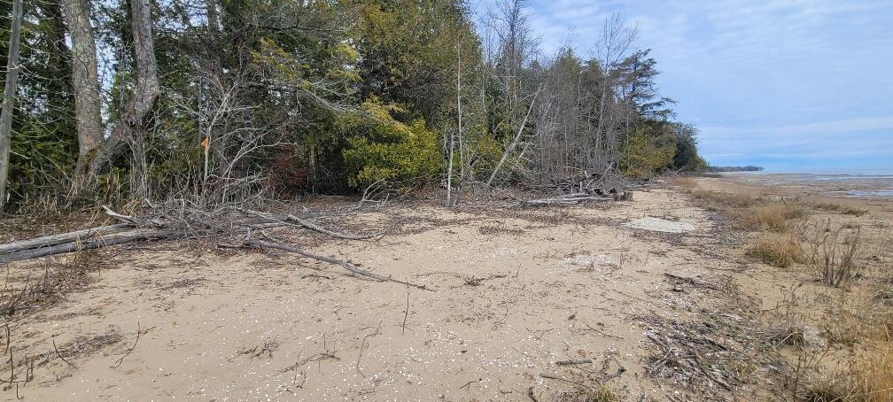 Tbd State Highway M35 - Property Photo 6
