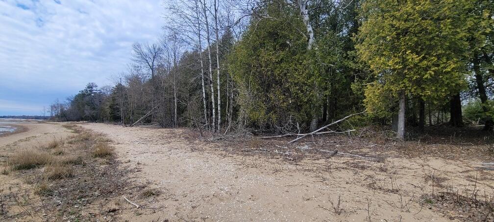 Tbd State Highway M35 - Property Photo 7