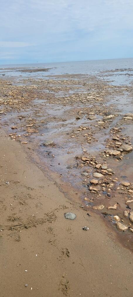 Tbd State Highway M35 - Property Photo 8