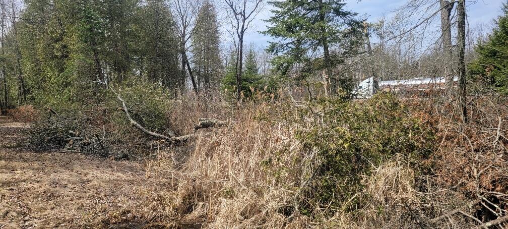 Tbd State Highway M35 - Property Photo 9