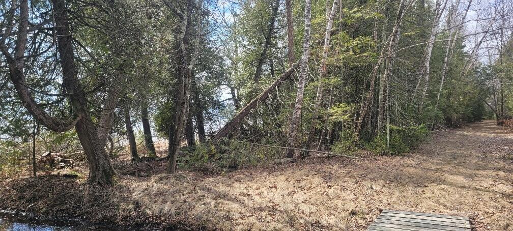 Tbd State Highway M35 - Property Photo 10