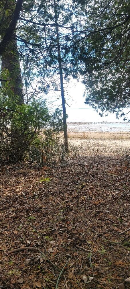 Tbd State Highway M35 - Property Photo 12