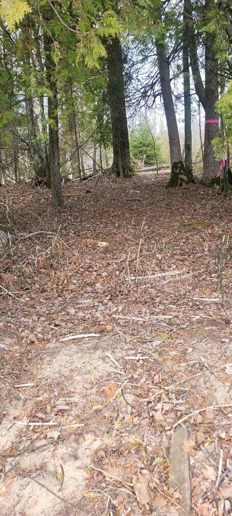 Tbd State Highway M35 - Property Photo 13
