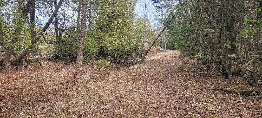 Tbd State Highway M35 - Property Photo 14