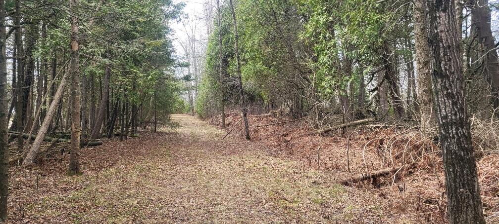 Tbd State Highway M35 - Property Photo 15