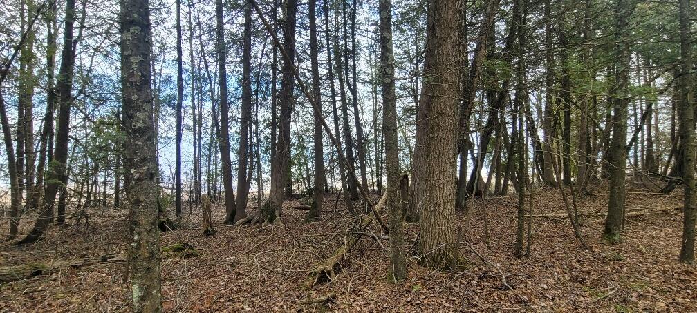 Tbd State Highway M35 - Property Photo 16