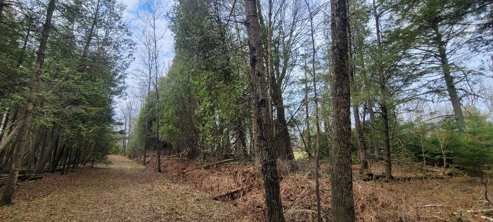 Tbd State Highway M35 - Property Photo 17
