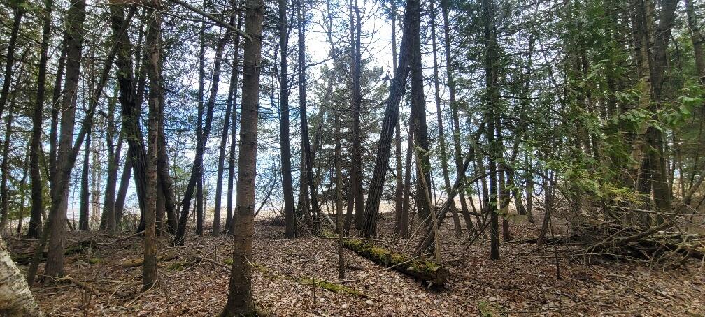 Tbd State Highway M35 - Property Photo 18